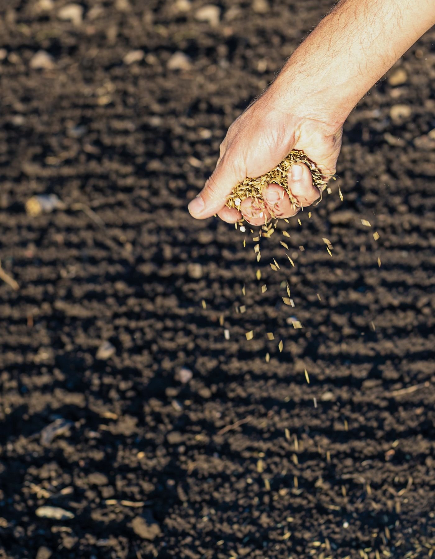 Fertilizantes e Insumos